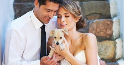 More than 70% of people would rather invite their dogs to their wedding than friends and family