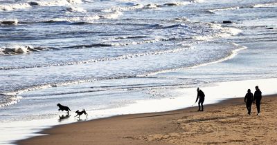 Met Office and UK Health Security Agency issue rare heat health alert across UK amid scorching temperatures of 29C