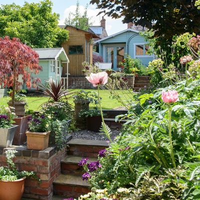 How often should you water your garden in the hot weather? Your guide to watering during the heatwave