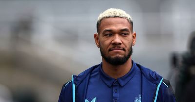 Watch moment Joelinton scores stunning goal in Brazil training session