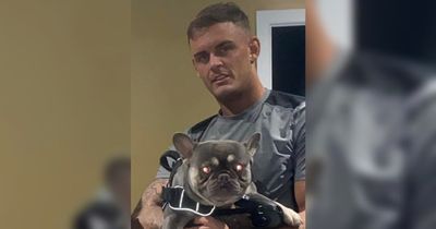 Man who attacked girlfriend claims he was 'stabbed over French bulldog'