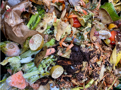 Why you should always compost