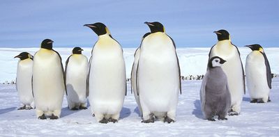 Antarctic tipping points: the irreversible changes to come if we fail to keep warming below 2℃