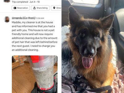 Airbnb customer shares anger after being charged for dog hair despite staying in pet-friendly home