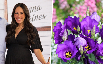 'Everything is just happy': Joanna Gaines offers a glimpse of her harmonious summer garden