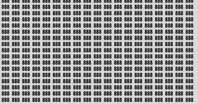 Only those with high IQ can spot number 808 among 888s in tricky optical illusion