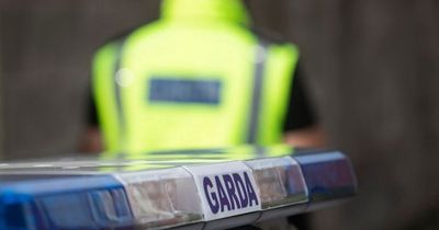 Murder probe launched as Ongar stabbing victim is named and gardaí comb CCTV