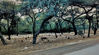 For 40 years, this piece of land in Delhi has been waiting for the construction of a women’s college