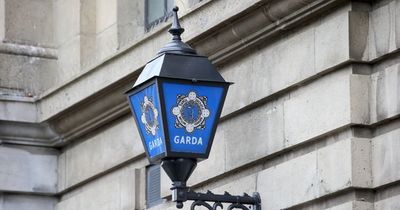 Ongar man stabbed to death named as gardai launch murder probe