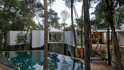 A spectacular treetop house in Brazil snakes through the forest canopy