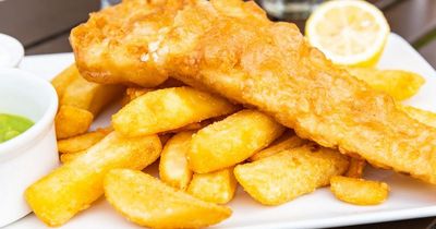 Best fish and chip shop in West Country where meals are 'cooked to perfection'