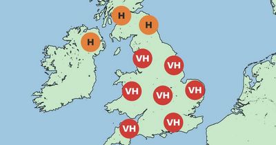 Bad news for hay fever sufferers as pollen count to remain 'very high'