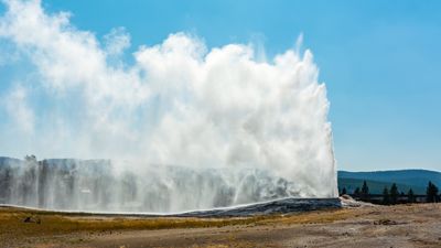 Reckless tourist caught sticking hand in Yellowstone geyser