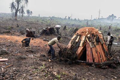 HRW accuses M23 militia of rape, finds mass graves in DR Congo