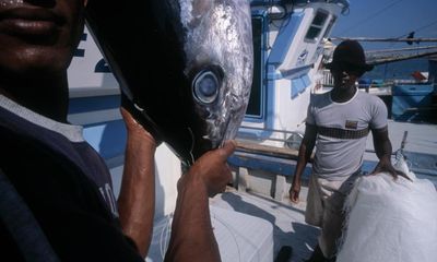 Massive strike pits African fishers against ‘superprofitable’ EU firms