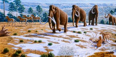 Forensic evidence suggests Paleo-Americans hunted mastodons, mammoths and other megafauna in eastern North America 13,000 years ago