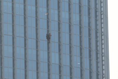 Briton who climbed Korean skyscraper expects ‘to spend month in jail’