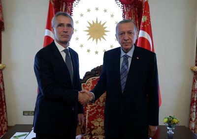 Turkey’s Erdogan defies pressure over Sweden’s NATO application