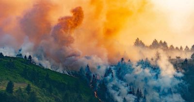 Fire crews battle six different wildfires in south Wales