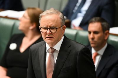 National gun register the ‘next step’ for reform that John Howard started, Anthony Albanese says