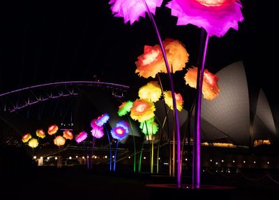 Vivid Sydney outraged many by charging for the botanic garden. But is the show worth it?