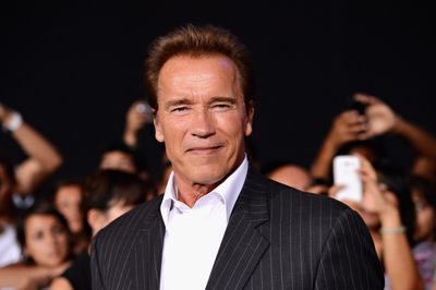 Arnold Schwarzenegger reveals how he turned his side hustle into his career