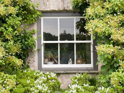 Victorian ‘hack’ gives you free air conditioning with the right windows