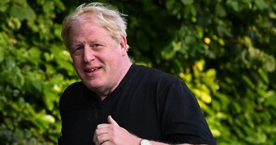 Boris Johnson 'must have known' he had broken lockdown rules, Partygate report will find