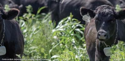 From Farming to Football: How Tech is Changing The Game