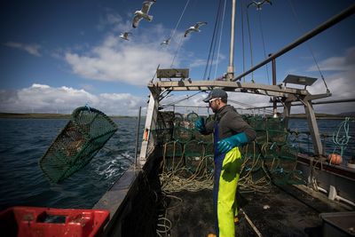 The importance of transparent fisheries