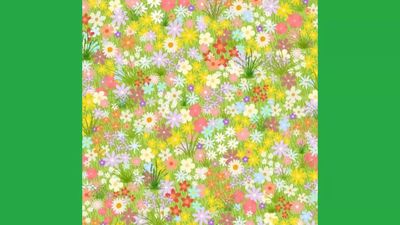 Optical illusion: Only a sharp-eyed person can spot the butterfly in under 20 seconds