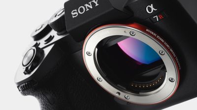 Sony aims for 60% share of image sensor market - focusses on larger sensors