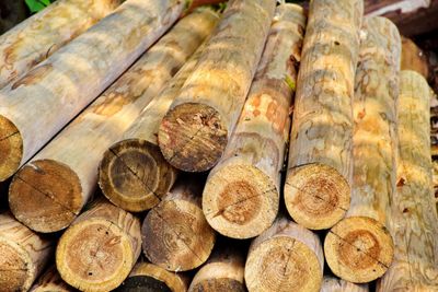 Department clamps down on protected wood shipments