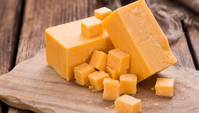Get paid to eat cheese at University of Wisconsin-Madison