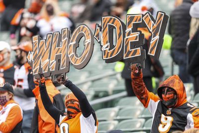 Bengals fan takes over Reds-Royals game where Chiefs were honored