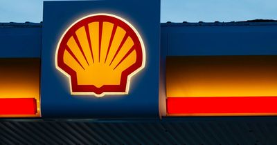 Shell faces backlash for ‘destructive’ decision to abandon oil reduction plans