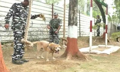J&K: CRPF Special Dog Squad deployed in Udhampur ahead of Amarnath Yatra
