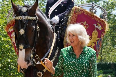 Queen names horse to lead cavalry at King’s Birthday Parade