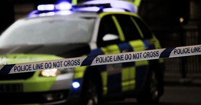 Man arrested for having sex with tree in busy park