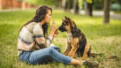 Trainer reveals the three biggest mistakes we make when socializing puppies, and what to do instead