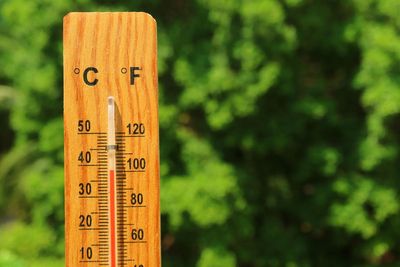 The dos and don’ts of looking after your garden in a heatwave