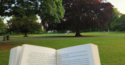 New silent reading group meeting in Dublin park this weekend