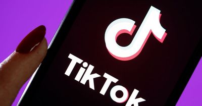TikTok star makes £1,900 a month rearranging clothes for wealthy women