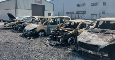 Cars torched in suspected arson attack at garage in Longford