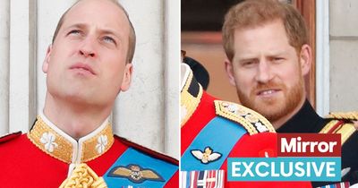 Prince Harry 'relieved' to miss Trooping the Colour as William's role 'chaffed' him