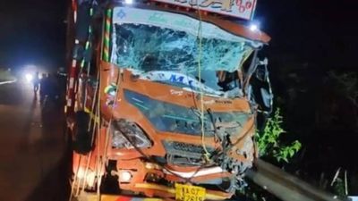 Truck mows down and kills three wild tuskers at Andhra Pradesh's Palamaner