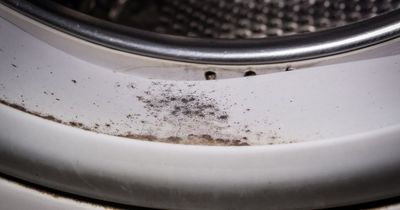 Cleaning fans say 95p hack 'quickly dissolves black mould' in washing machines