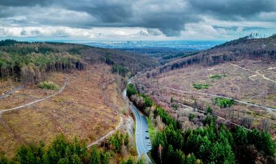 EU nature restoration law narrowly survives attack by conservative lawmakers