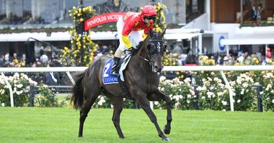 Aussie raider Artorius "best credentialed horse" in the Jubilee at Royal Ascot