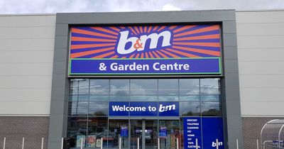 B&M shoppers race to buy 'stunning' summer garden lights reduced by 41%